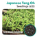 Seedling Tang Oh