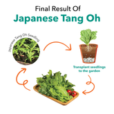 Seedling Tang Oh