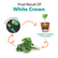 Seedling White Crown