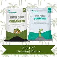 [Hot Bundle Sales] BEST OF GROWING PLANTS