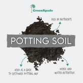Social Media Post 3 (Right Potting Mix 2 – 7 April)