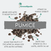 Social Media Post 3 (Right Potting Mix 4 – 7 April)