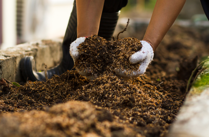 Soil Mix & Compost