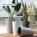 Tall Planters-15