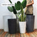 Tall Planters-16