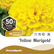 Yellow Marigold-03