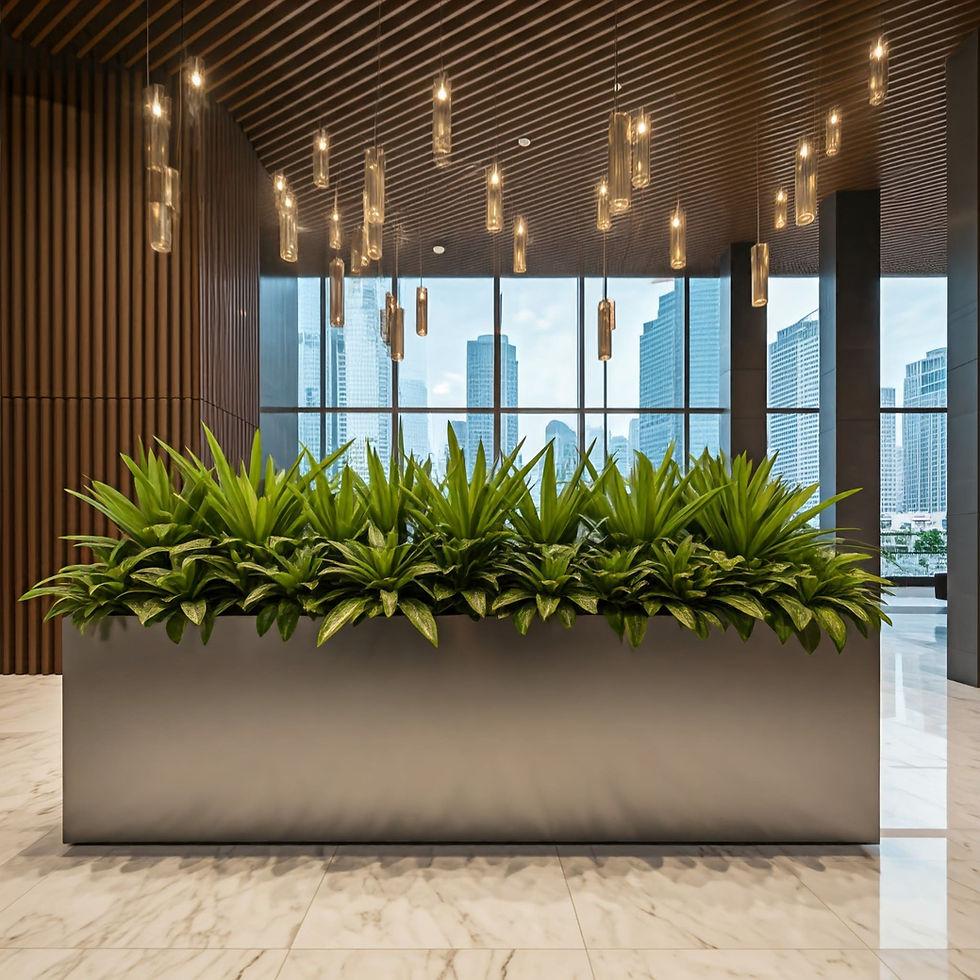 Planter Arrangements