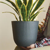 flower U pot-43