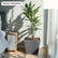 flower pot_new listing-33