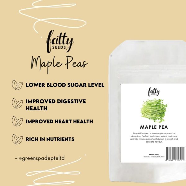 Maple Peas (Pea Sprout) Seeds