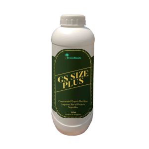 GS Size Plus