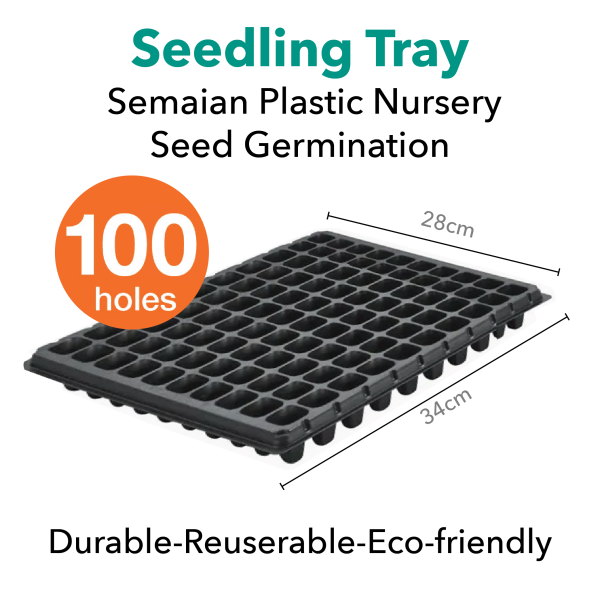 Seedlings Tray