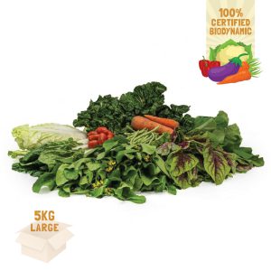 Bio Dynamic Vegetable Box