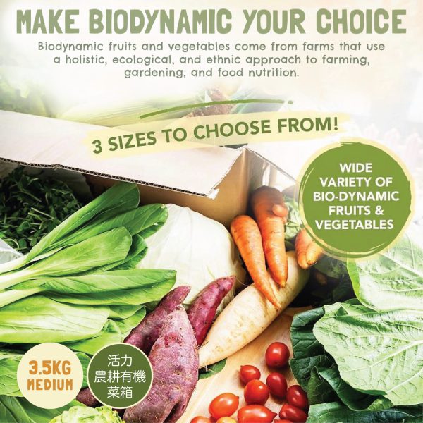 Bio Dynamic Vegetable Box