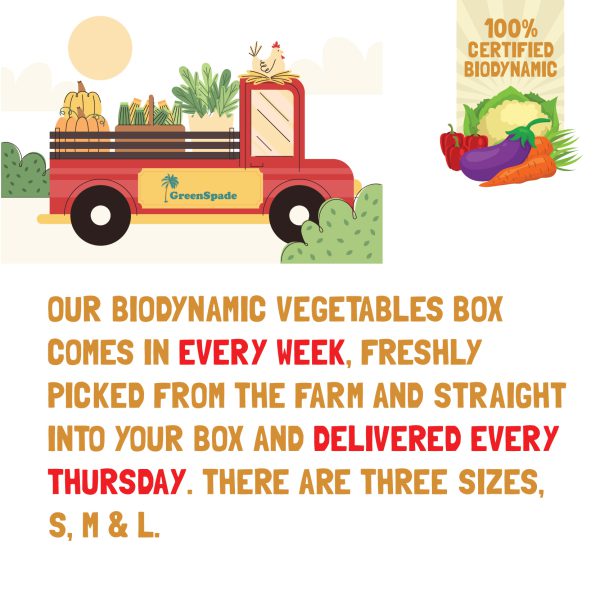 Bio Dynamic Vegetable Box