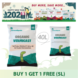 5.5 2025 Promotions