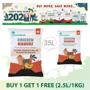 5.5 2025 Promotions