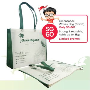 SG60 Deals-Woven Bag