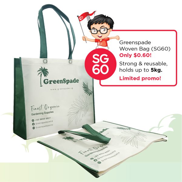 SG60 Deals-Woven Bag