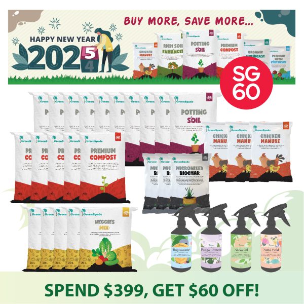 SG60 Deals