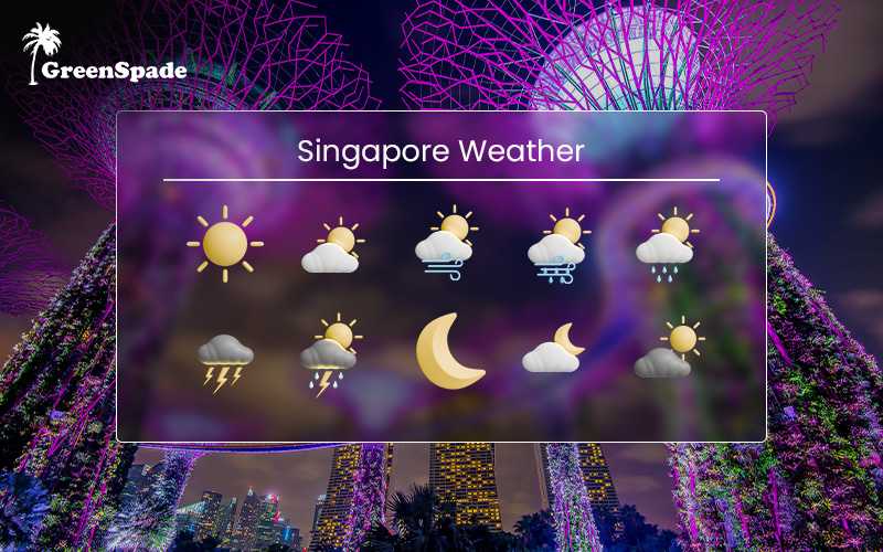 Singapore weather forecast graphic with sun, clouds, rain, and thunderstorm icons