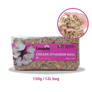 Sphagnum Moss